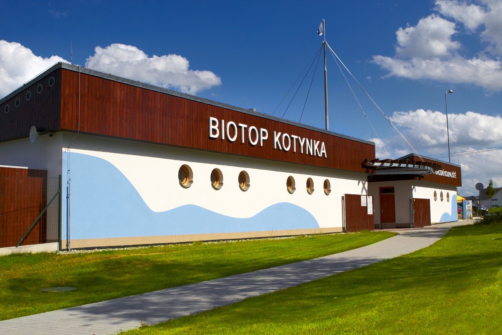 biotop Kotynka