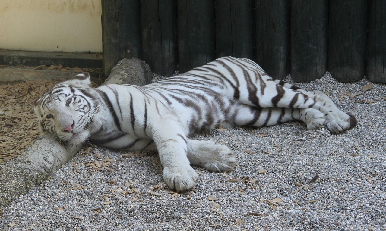 ZOO Liberec