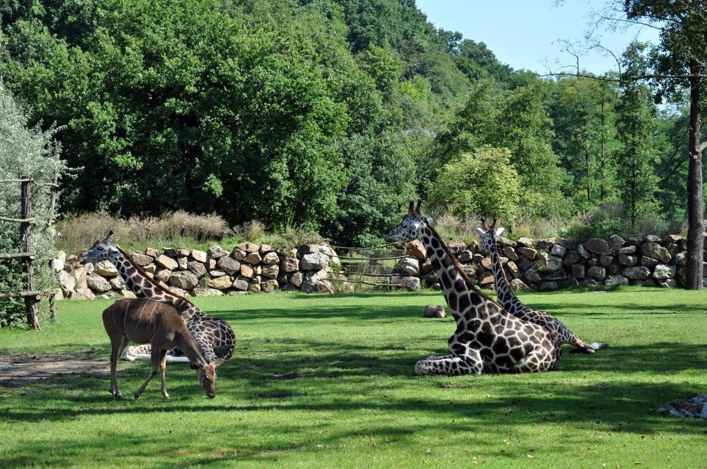 Zoo Plzeň